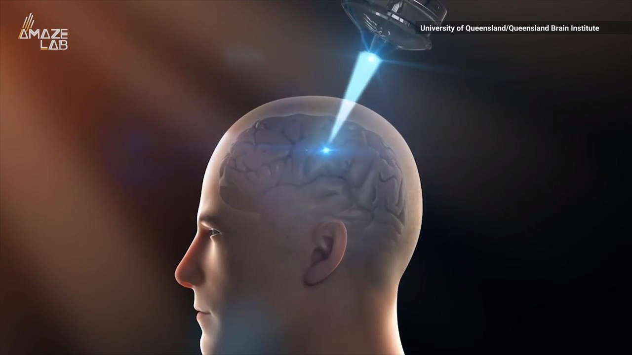 Scientists Reverse Alzheimer's Symptoms in Mice, Human Trials Are Next