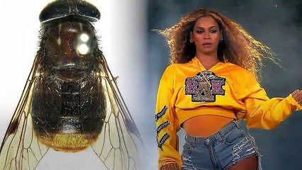 7 Species Named After Famous People