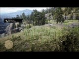 Red Dead Redemption 2 All Rock carving locations