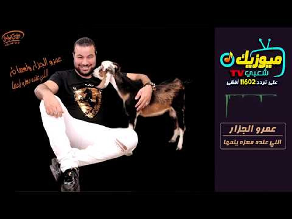 اللي عنده معزه يلمها " عمرو الجزار  " حصريات قناة ميوزيك شعبي 11602 أفقي