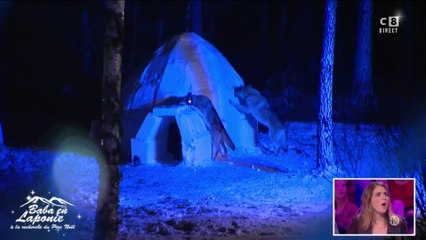 Matthieu Delormeau et Gilles Verdez encerclés par des loups en Laponie : ils ont évité le pire !