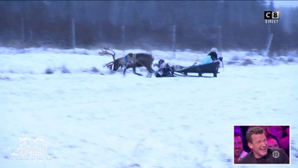 Accident dans Baba en Laponie : la course de rennes tourne à la catastrophe !