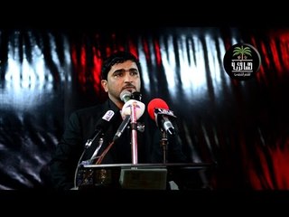 الشاعر حيدر العيداني || مهرجان شهداء طريق الامام الحسين || هيئة انصار المرجعية