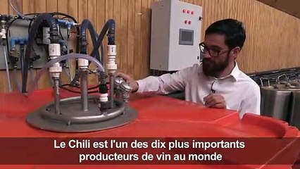 Au Chili, la high-tech au service des viticulteurs