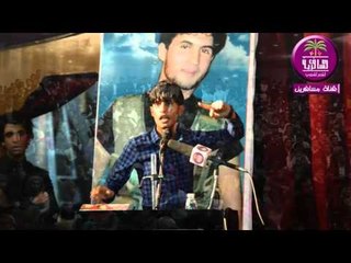 الشاعر محمد السيد هاشم :::  مهرجان الاقلام تموت واقفة .... 2016