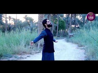 الشاعر احمد محسن العتابي || زينب والعباس || 2016