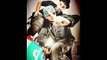 مهرجان استاكوزا 2017 غناء علاء فيفتي توزيع مصطفي حتحوت