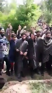 Pakistan Tehreek e Insaf Haripur