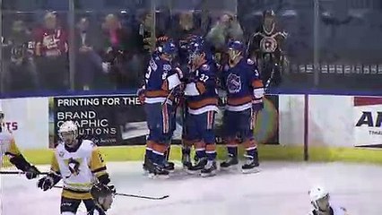 Wilkes-Barre/Scranton Penguins 4 - Bridgeport Sound Tigers 3 (OT)