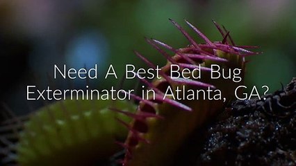 Certified OCP Bed Bug Exterminator in Atlanta, GA