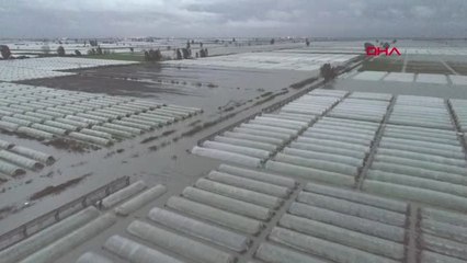 Mersin Tarsus'ta Seralar Su Altında Kaldı - Ek