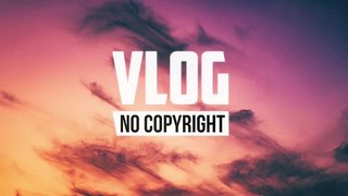 Dizaro - U Go (Vlog No Copyright Music)
