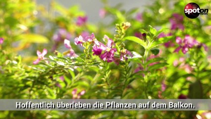 So startest du deinen Urlaub garantiert stressfrei