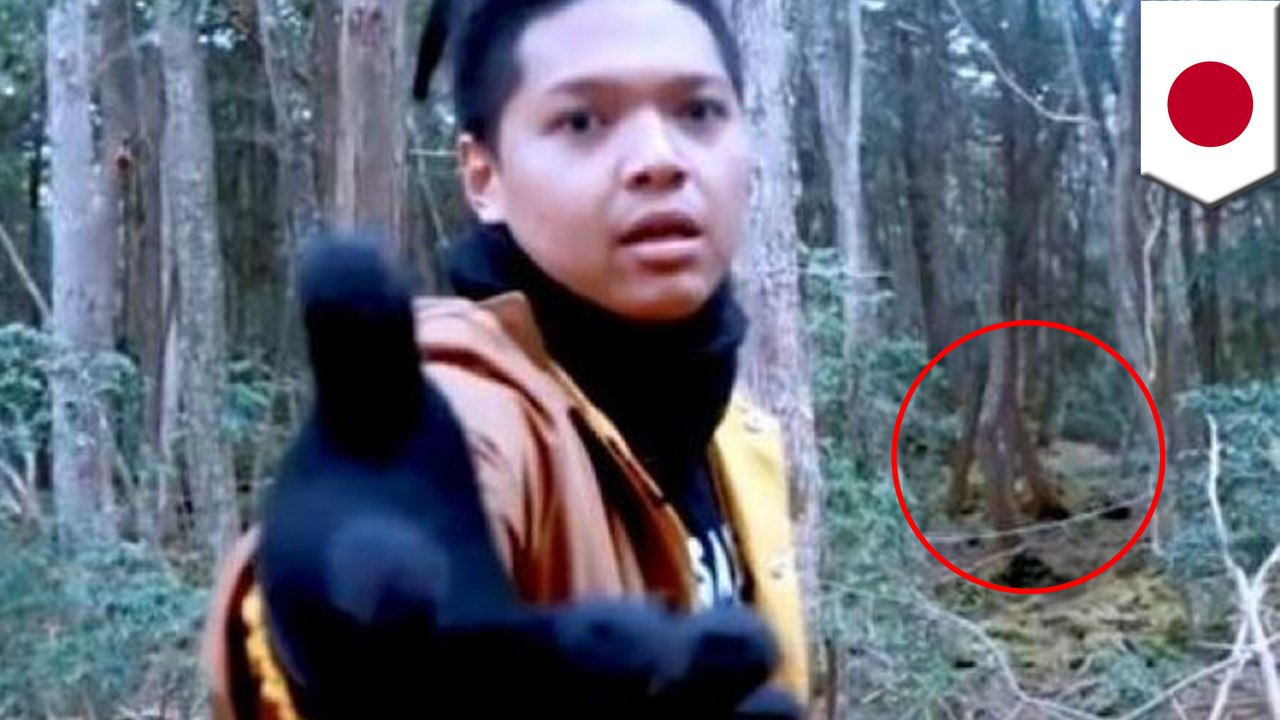 インドネシアのユーチューバー 樹海で動画撮影し物議 - トモニュース