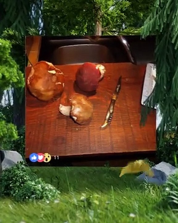 Sami et ses ami-e-s 2018