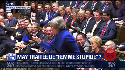 Theresa May traitée de "femme stupide" ?