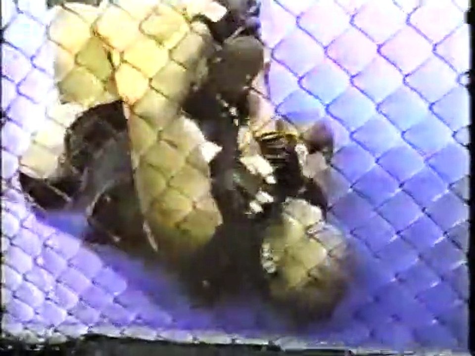 John Dixson vs Tommy Sauer (WEF 7)