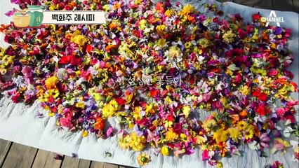 [막걸리 만들기] 보기 좋은 꽃이 맛도 좋다! 100가지 꽃으로 만든 백화주 막걸리 레시피