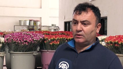 Çiçekçilerin 2019 ihracat hedefi 125 milyon dolar - ANTALYA
