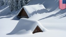 Polar vortex could bring bitter winter to U.S. east coast