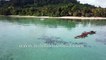 Andaman Islands - aerial view of pristine beaches and thick rain forests in India