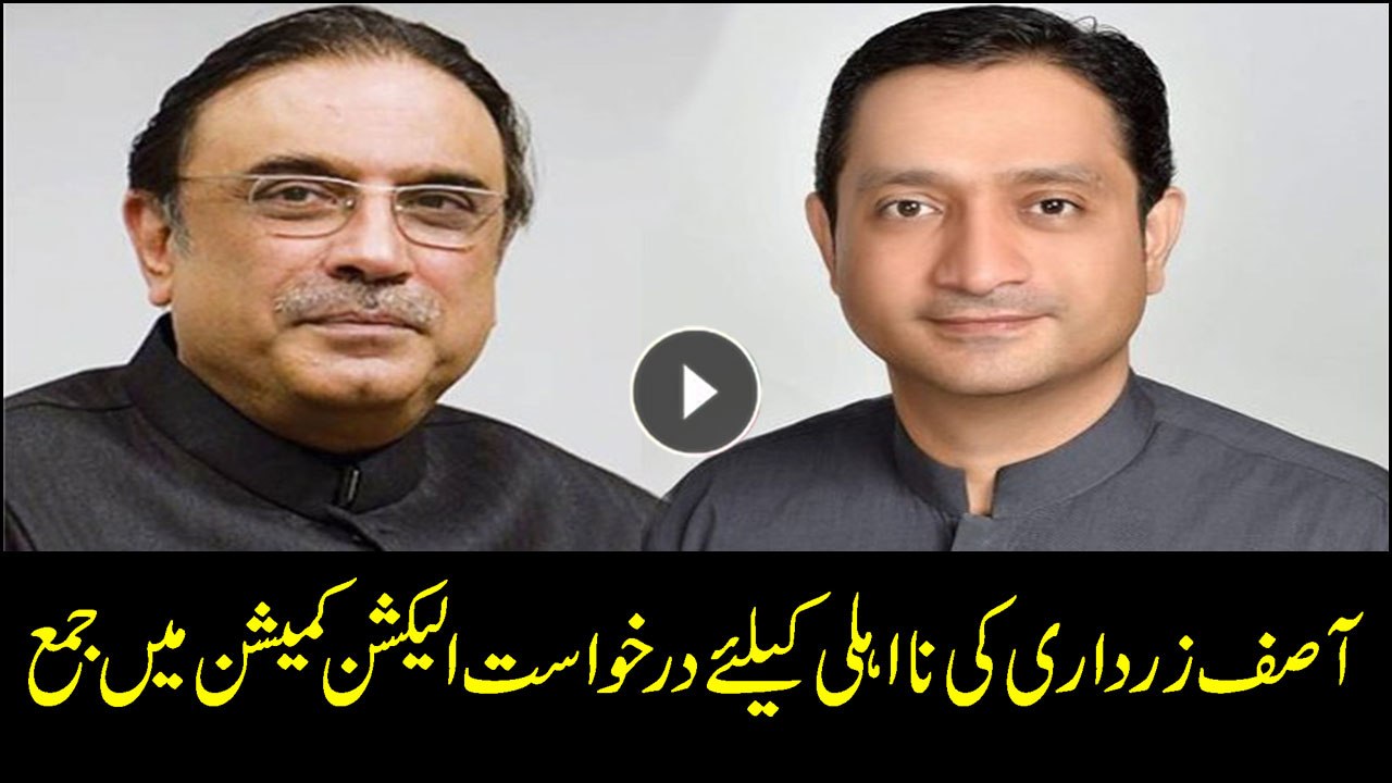 PTI files disqualification reference against Zardari