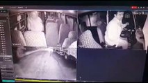 Otobüs şoförünü gasp girişimi güvenlik kamerasında - AYDIN
