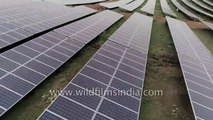 Massive Solar plant at Sangareddy in Telangana- aerial view of India's renewables focus