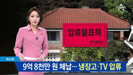 감정가 102억 전두환 자택 공매…9억 8천만 원 체납
