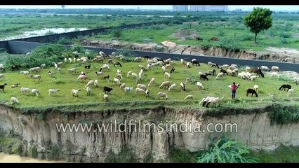 Soil erosion, over grazing and sand mining - aerial view of environmental ills in India
