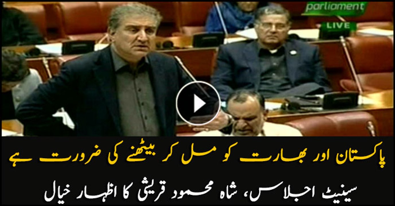 Foreign Minister Shah Mehmood Qureshi speech in Senate session