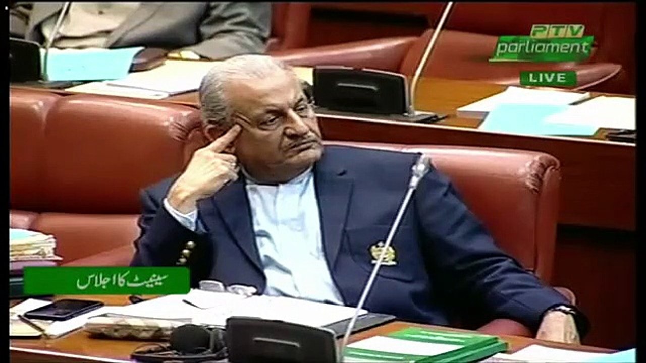 Shah Mehmood Qureshi Speech In Senate - 20th December 2018