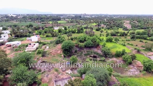 Eastern Ghats flight over highways, banana farms, cleared shola forests along Coromandel Coast