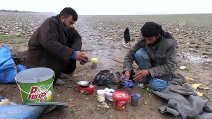 Şanlıurfalı çobanlar, AA'nın 'Yılın Fotoğrafları' oylamasına katıldı - ŞANLIURFA