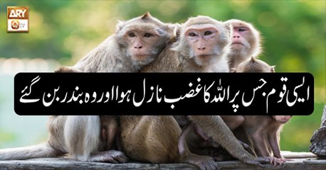 Paigham e Quran - 20th December 2018 - ARY Qtv