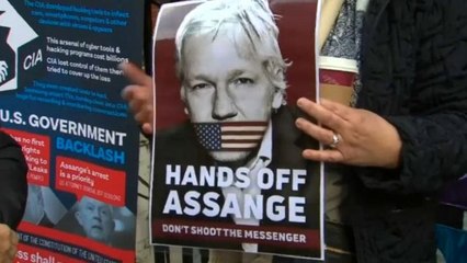 German MPs meet Julian Assange at London's Ecuadorian embassy
