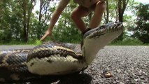 The Ten Deadliest Snakes In The World - With Steve Irwin  (Wild Things Documentary)