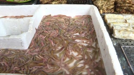 شاهد: ديدان مقلية ومقرمشة.. الطبق المفضل للفيتناميين في الشتاء