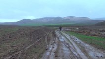 Yağışlardan Dolayı Pancar Sökemeyen Çiftçi Mağdur Oldu