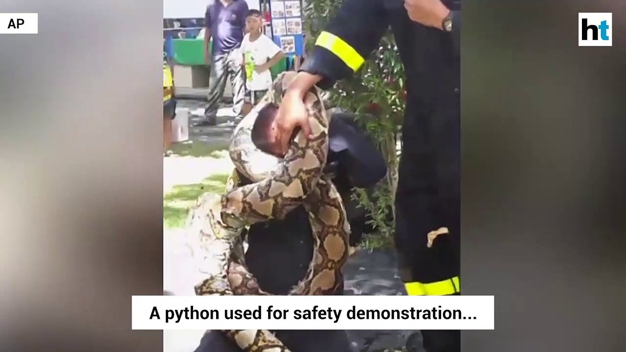 Python wraps itself around fireman during safety demonstration