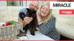 Miracle cat who was shot named pet survivor of the year | SWNS TV