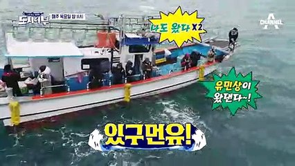 [다음이야기] 도시어부 최초 전설의 다금바리 등장?! 2018 라스트 황금배지 주인공은 과연 누구!