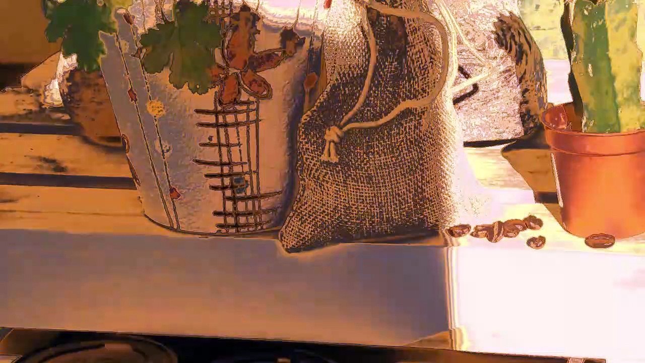 L'or de la maison du café - café soluble