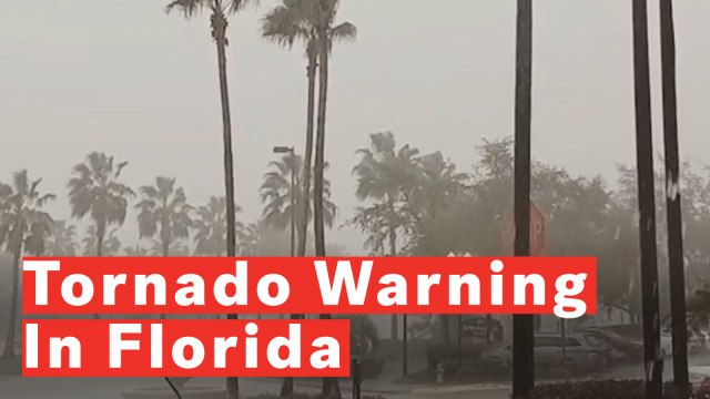 Tornado Warning Issued For Most Of Central Florida