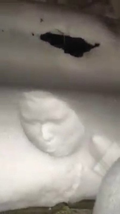 Le nouveau jeu de cet hiver :  mettez votre visage dans la neige fraiche !