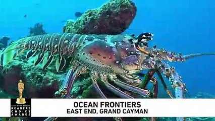 Dive Grand Cayman's East End with Ocean Frontiers