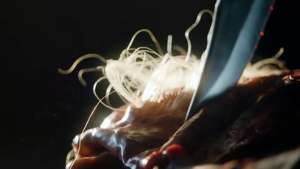 The Walking Dead 9ª Temporada - Teaser Sussurradores