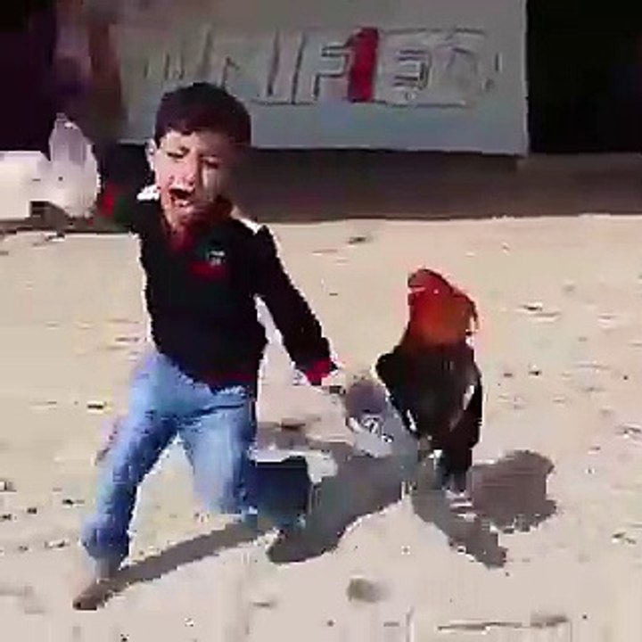 new kids funny videos