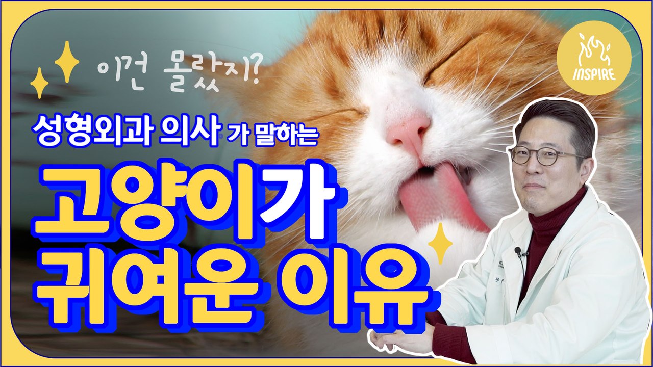 고양이상 얼굴이 성형 트렌드? 다 이유가 있다!ㅣ인스파이어Q