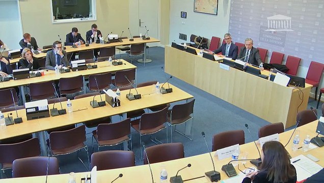 Délégation aux collectivités territoriales et à la décentralisation : Auditions diverses - Jeudi 20 décembre 2018